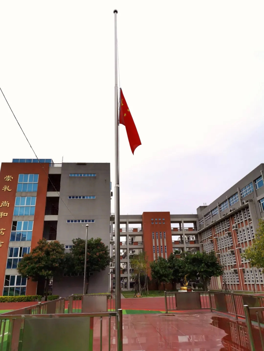 忆先人，寄思情，让清明更“清明”
