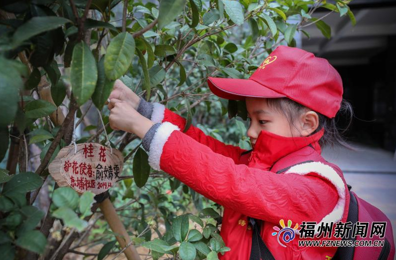 晋安“东浦环保小战士”大队成立暨环保酵素推广行动举行