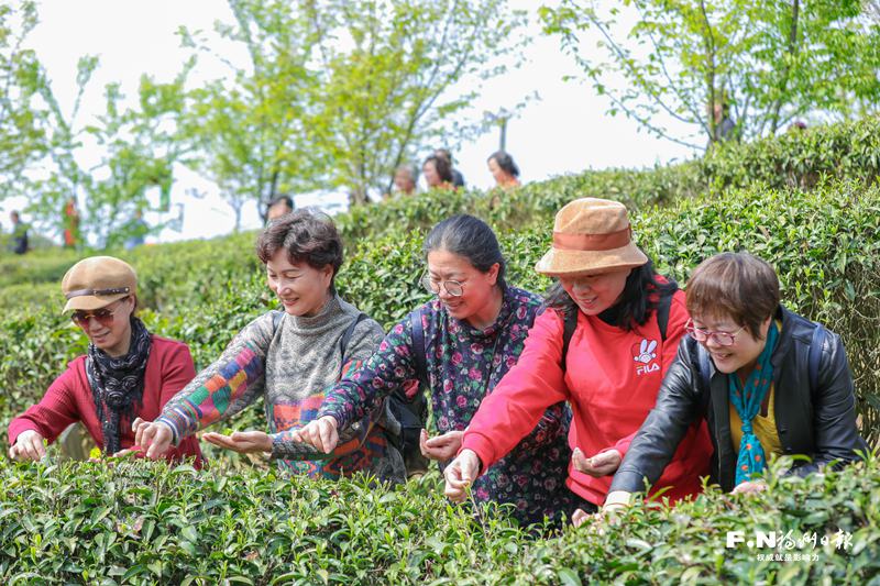 福州（晋安）春茶开采节启幕