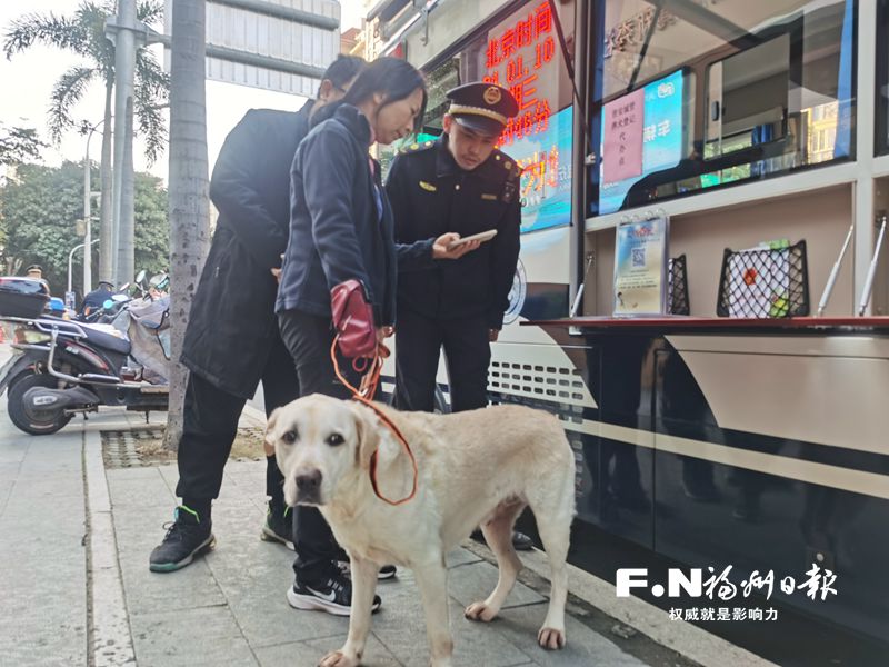 晋安区加大养犬登记工作 登记数量居全市前列 晋安区加大养犬登记工作 登记数量居全市前列