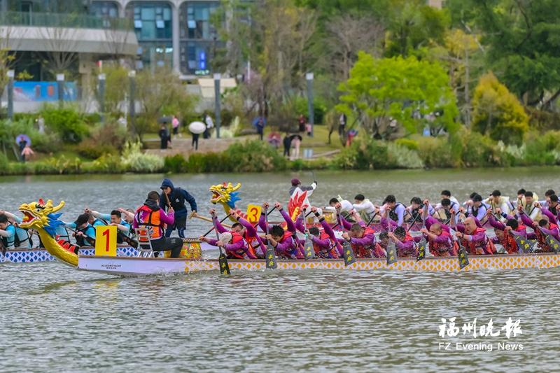 2025龙舟季开桨！首站晋安湖上演“水上竞速+岸边嘉年华”