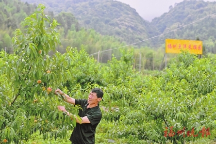 荣获“全国文明村”“省级乡村振兴示范村”等荣誉  晋安点洋村：文明新风吹　共富闯新路