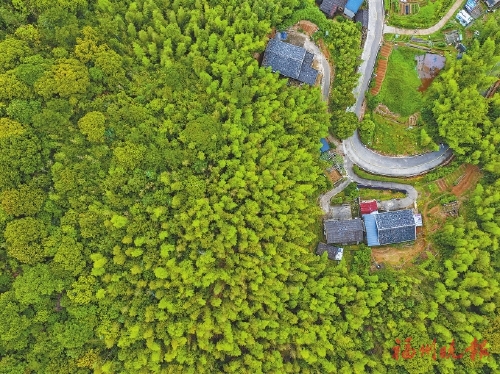 荣获“全国文明村”“省级乡村振兴示范村”等荣誉  晋安点洋村：文明新风吹　共富闯新路