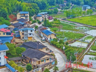 荣获“全国文明村”“省级乡村振兴示范村”等荣誉  晋安点洋村：文明新风吹　共富闯新路