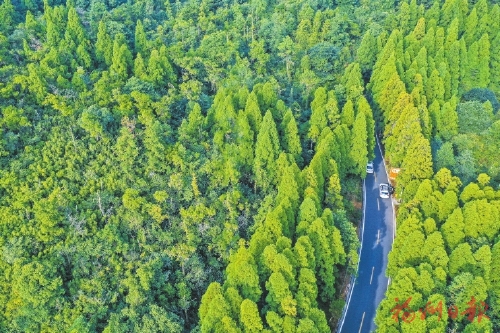 全景公路风景美　小康路上面貌新