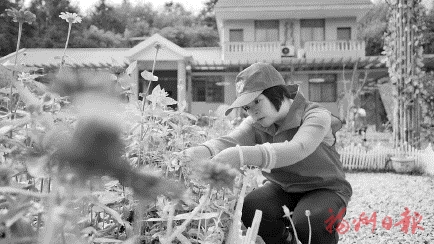 “在为大家服务中找到了自己的人生舞台”  前洋村里好姐妹　振兴路上好帮手