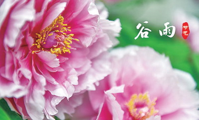 【网络中国节·谷雨】谷雨：一切美好奔赴而来