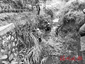 晋安寿山乡发动3400多人次　共建清洁家园