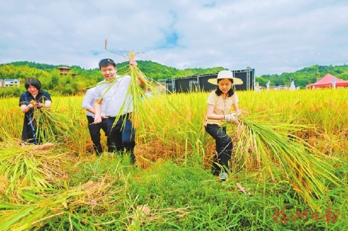 乡村振兴服务专员驻点帮扶晋安区日溪乡  北峰山区辟出致富新路