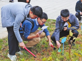 晋安区举办　“才聚九峰　爱在寿山”人才植树节活动