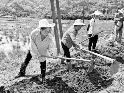 住农家　干农活　话农事 晋安青年干部深入山区进行“四知”基层实践教育