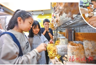 来新店古城遗址公园，开启探秘之旅  蘑菇科普课　揭秘“小伞伞”