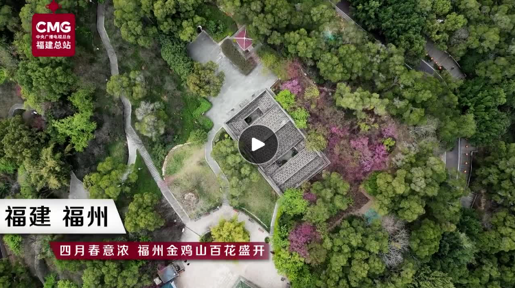 四月春意浓 福州金鸡山百花盛开