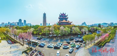 花开花落春有时 好一幅福州春光图