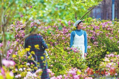 花开花落春有时 好一幅福州春光图
