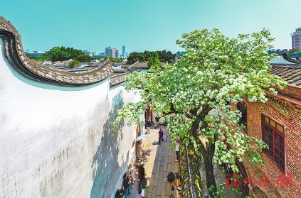 花开花落春有时 好一幅福州春光图