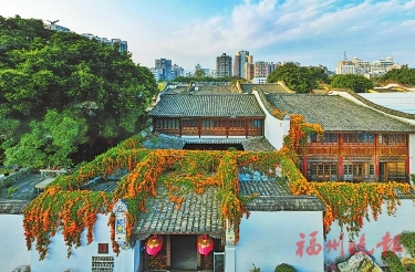 花开花落春有时 好一幅福州春光图