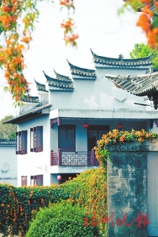 花开花落春有时 好一幅福州春光图