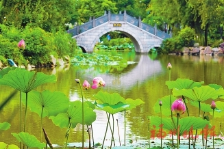 暑假开启，“神兽”何处放养？  遛娃宝藏地　就在这些公园里