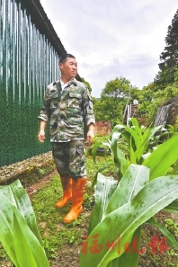 返乡带动村民迈向共富  施秀宏：做有情怀的“新农人”