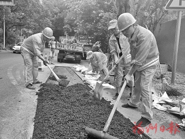 杨孝敏：养路站为家　守护15公里“生命线”