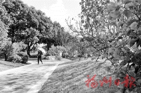 东二环沿线重塑“颜值”