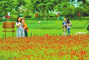 “地图”打开来　双节赏花去