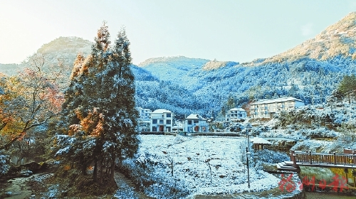 一夜飞雪榕城惊艳