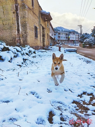 一夜飞雪榕城惊艳