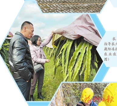 以雪为令迎寒而上　筑牢福州“温暖防线”