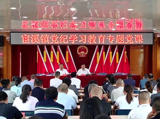 铸坚强堡垒 树先锋旗帜！宦溪镇开展庆“七一”暨党纪学习教育系列主题活动