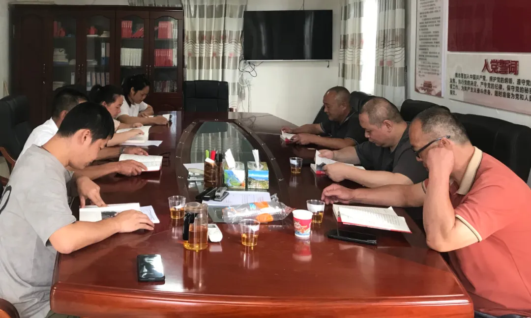 铸坚强堡垒 树先锋旗帜！宦溪镇开展庆“七一”暨党纪学习教育系列主题活动