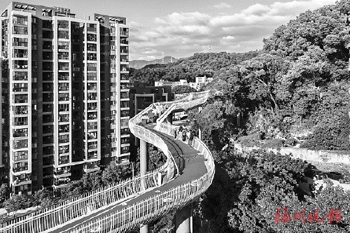 晋安区茉莉花生态廊道启用  位于“双金”步道起点，呈现“山舞银蛇”夜景，串联山、河、湖