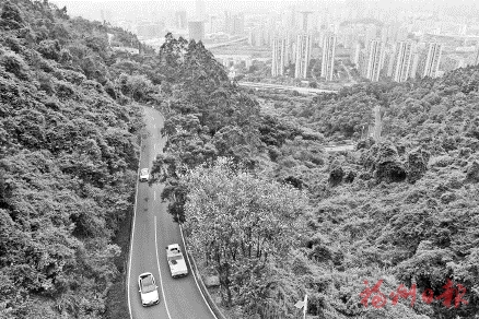 算好“两本账”，我市造林绿化重点转移  不仅“绿起来”更要“好起来”