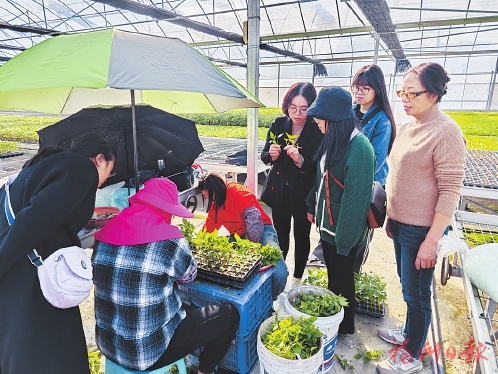 扬帆新时代　荣耀“半边天”  ——我市各级妇联团结带领广大妇女积极投身巾帼“五大行动”