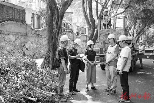12345热线为民解忧——  线上高频巡查　线下实地督办