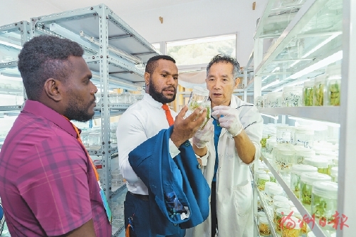 21世纪海上合作委员会2024国际菌草技术研讨活动在榕举办 让菌草技术造福更多国家和人民