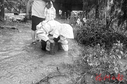 以迅应汛　主动出击  ——排水尖兵守护榕城安全