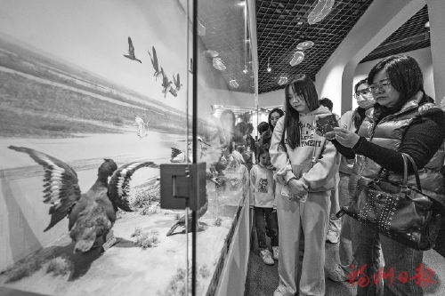 福马融合共护湿地“管法的法”作出新规  我市两部地方性法规获省人大常委会会议批准