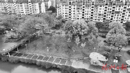 我市推进内河沿岸颜值提升  三处河道公园新增百棵开花树木