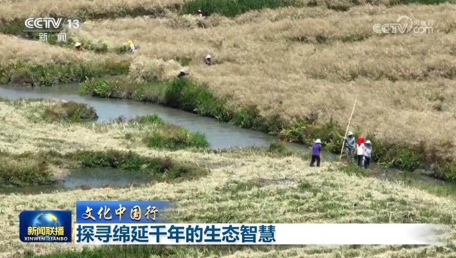 文化中国行丨探寻绵延千年的生态智慧