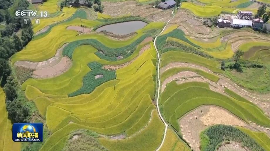 文化中国行丨探寻绵延千年的生态智慧