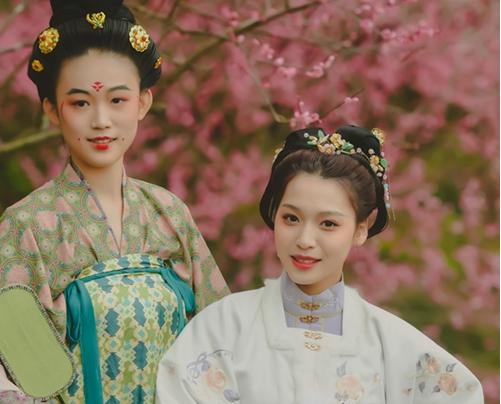鼓山梅花文化节启动 收好这份“打卡攻略”