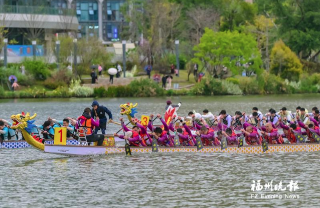 2025龙舟季开桨!首站晋安湖上演“水上竞速+岸边嘉年华”