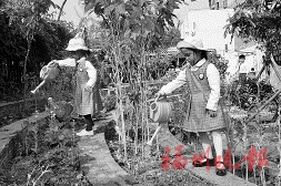 新店中心幼儿园　让孩子“乐享自然”