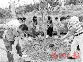 闽台姐妹共植“海峡巾帼林”