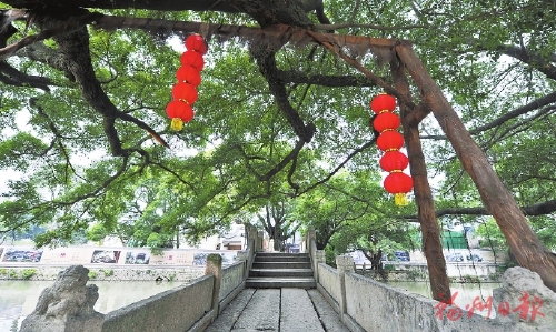 福地绿意满　风景这边好