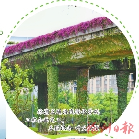 福地绿意满　风景这边好